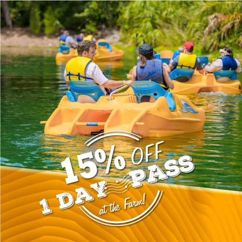 15 OFF REGULAR ADMISSION Pintos Farm